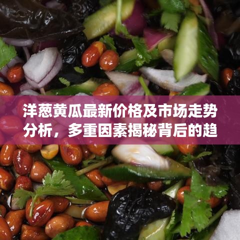 洋蔥黃瓜最新價格及市場走勢分析，多重因素揭秘背后的趨勢影響