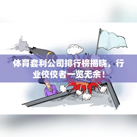 體育套利公司排行榜揭曉，行業(yè)佼佼者一覽無余！