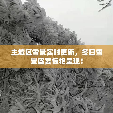 主城區(qū)雪景實時更新，冬日雪景盛宴驚艷呈現(xiàn)！