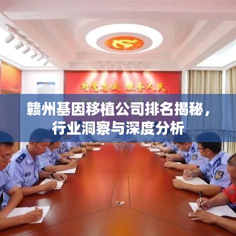 贛州基因移植公司排名揭秘，行業(yè)洞察與深度分析