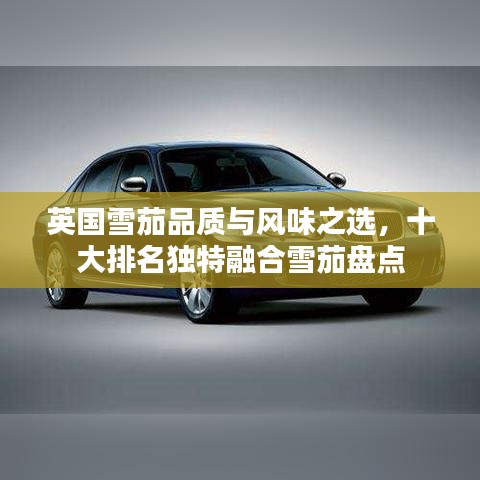 英國雪茄品質與風味之選，十大排名獨特融合雪茄盤點