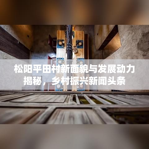 松陽平田村新面貌與發(fā)展動(dòng)力揭秘，鄉(xiāng)村振興新聞?lì)^條