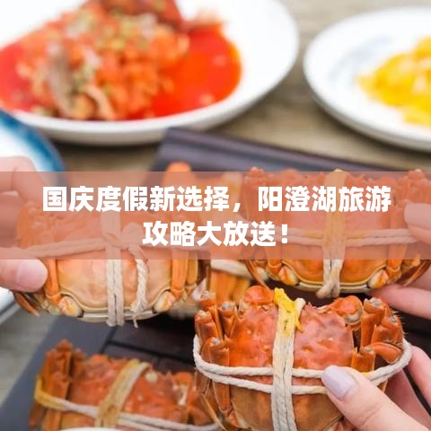 國慶度假新選擇，陽澄湖旅游攻略大放送！