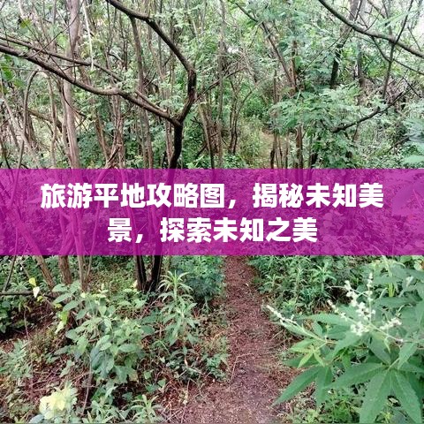 旅游平地攻略圖，揭秘未知美景，探索未知之美