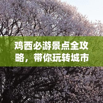 雞西必游景點(diǎn)全攻略，帶你玩轉(zhuǎn)城市魅力之旅