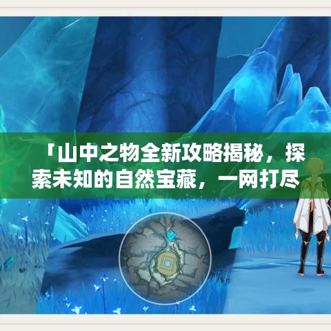 「山中之物全新攻略揭秘，探索未知的自然寶藏，一網(wǎng)打盡！」