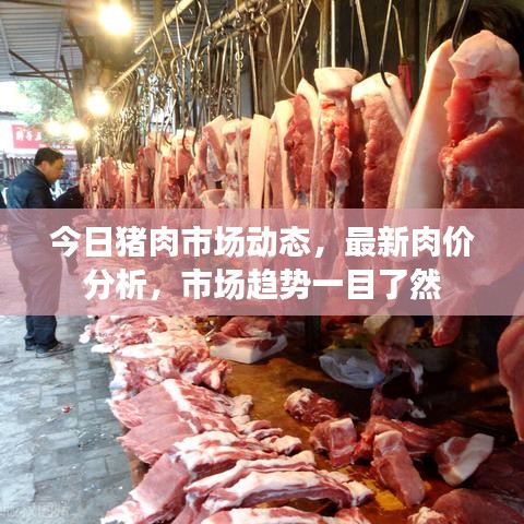 今日豬肉市場動態(tài)，最新肉價分析，市場趨勢一目了然