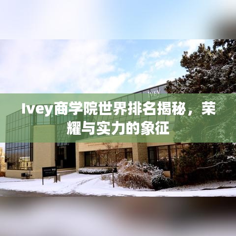 Ivey商學(xué)院世界排名揭秘，榮耀與實力的象征
