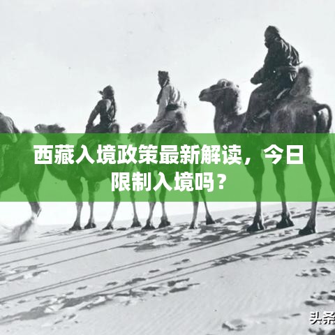 西藏入境政策最新解讀，今日限制入境嗎？