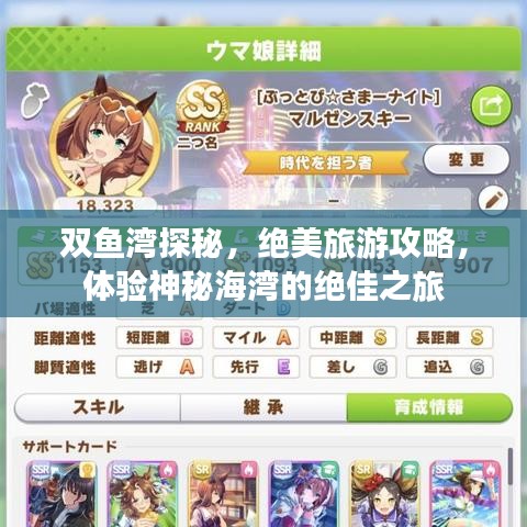 雙魚(yú)灣探秘，絕美旅游攻略，體驗(yàn)神秘海灣的絕佳之旅