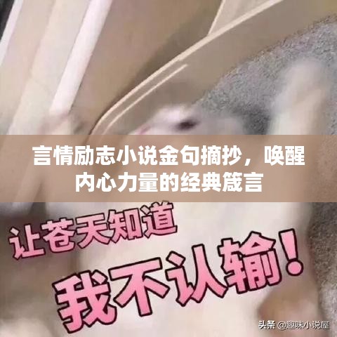 言情勵(lì)志小說金句摘抄，喚醒內(nèi)心力量的經(jīng)典箴言