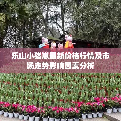 樂山小豬崽最新價格行情及市場走勢影響因素分析
