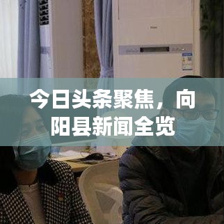 今日頭條聚焦，向陽(yáng)縣新聞全覽