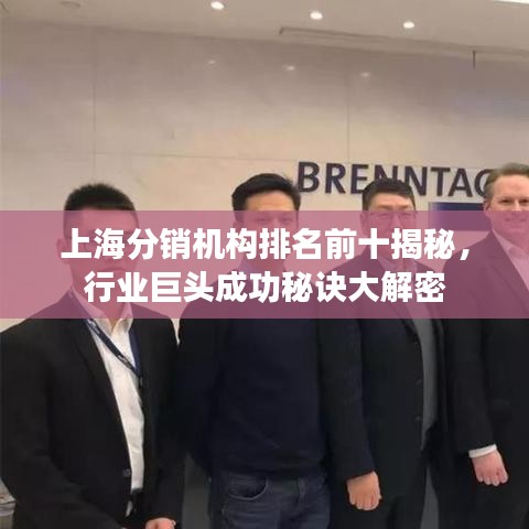 上海分銷機構(gòu)排名前十揭秘，行業(yè)巨頭成功秘訣大解密