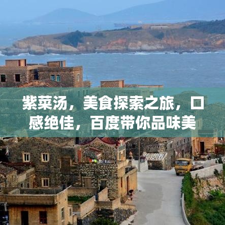 紫菜湯，美食探索之旅，口感絕佳，百度帶你品味美味！