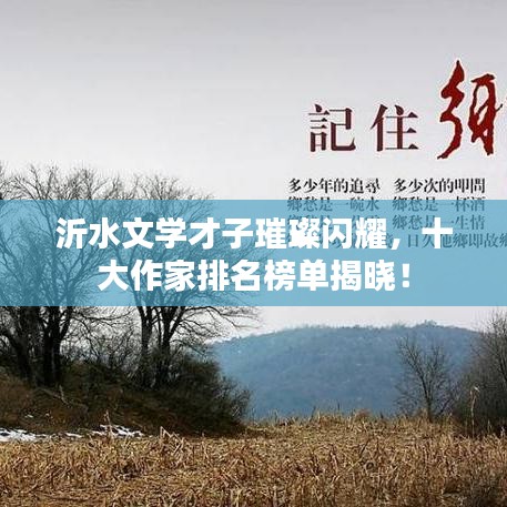 沂水文學(xué)才子璀璨閃耀，十大作家排名榜單揭曉！