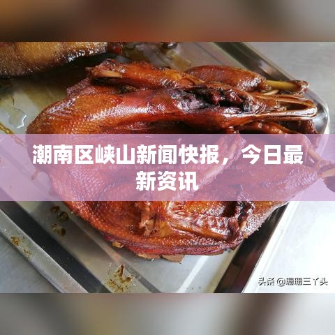 潮南區(qū)峽山新聞快報，今日最新資訊