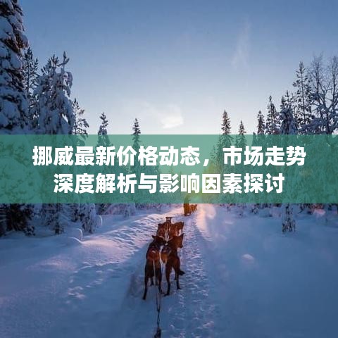 挪威最新價(jià)格動態(tài)，市場走勢深度解析與影響因素探討