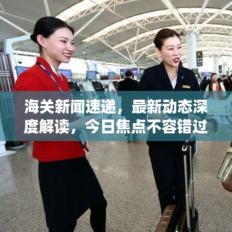 海關(guān)新聞速遞，最新動(dòng)態(tài)深度解讀，今日焦點(diǎn)不容錯(cuò)過(guò)
