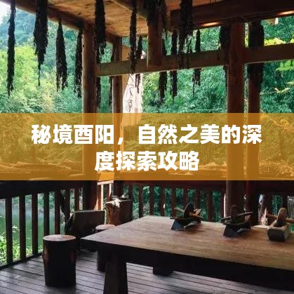 秘境酉陽，自然之美的深度探索攻略