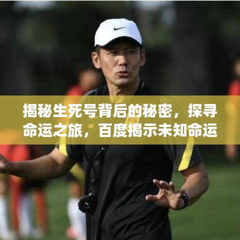 揭秘生死號背后的秘密，探尋命運(yùn)之旅，百度揭示未知命運(yùn)信息