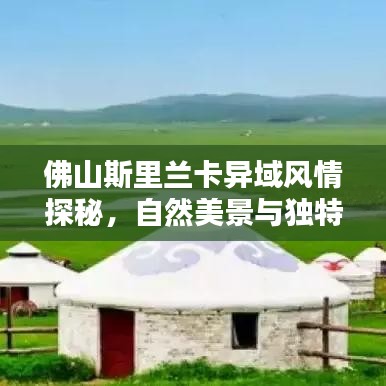 佛山斯里蘭卡異域風(fēng)情探秘，自然美景與獨特文化體驗攻略