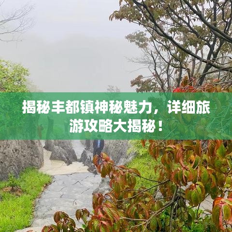 揭秘豐都鎮(zhèn)神秘魅力，詳細(xì)旅游攻略大揭秘！
