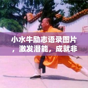 小水牛勵(lì)志語錄圖片，激發(fā)潛能，成就非凡人生！