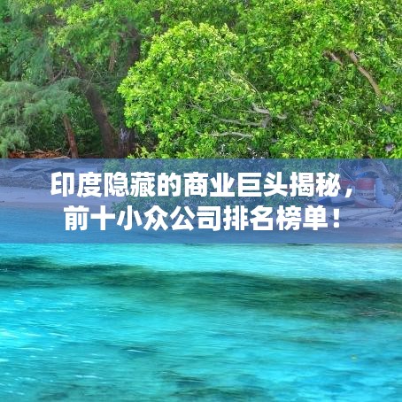印度隱藏的商業(yè)巨頭揭秘，前十小眾公司排名榜單！