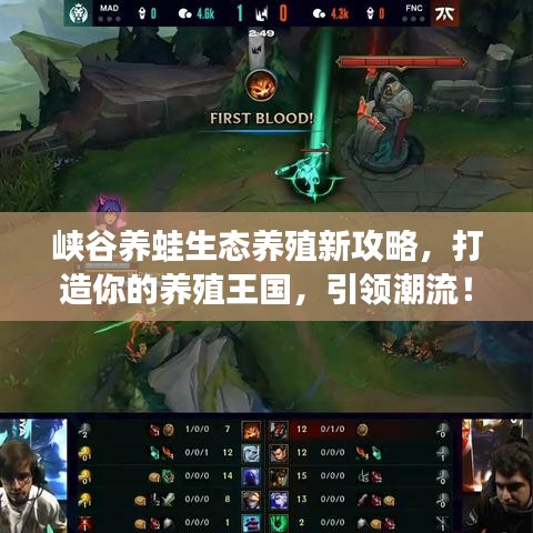 峽谷養(yǎng)蛙生態(tài)養(yǎng)殖新攻略，打造你的養(yǎng)殖王國，引領(lǐng)潮流！