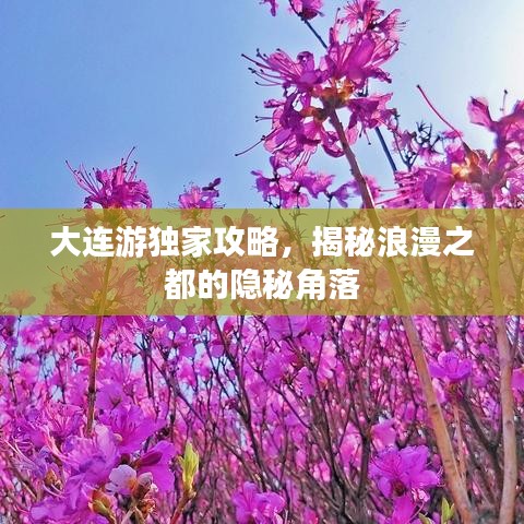 大連游獨(dú)家攻略，揭秘浪漫之都的隱秘角落
