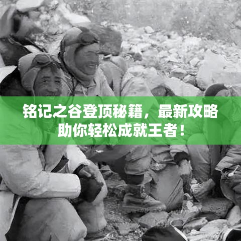 銘記之谷登頂秘籍，最新攻略助你輕松成就王者！