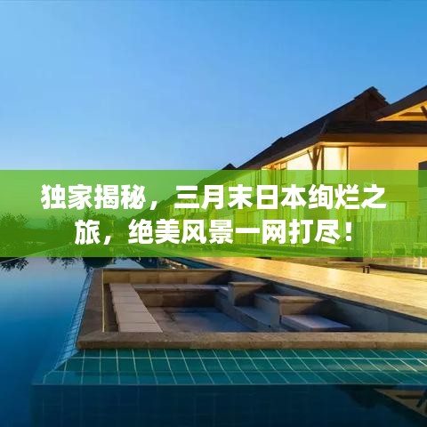 獨(dú)家揭秘，三月末日本絢爛之旅，絕美風(fēng)景一網(wǎng)打盡！
