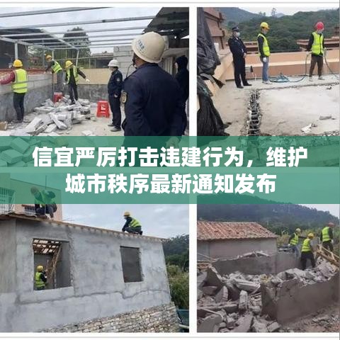 信宜嚴(yán)厲打擊違建行為，維護(hù)城市秩序最新通知發(fā)布