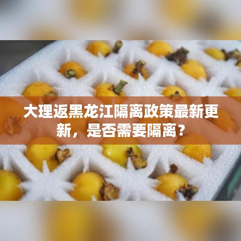 大理返黑龍江隔離政策最新更新，是否需要隔離？