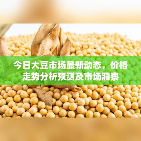 今日大豆市場最新動態(tài)，價格走勢分析預測及市場洞察