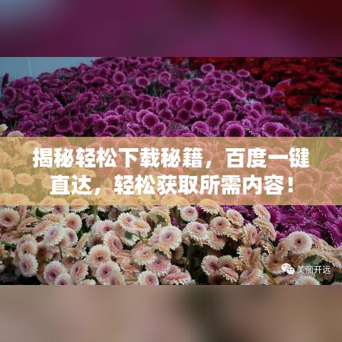 揭秘輕松下載秘籍，百度一鍵直達(dá)，輕松獲取所需內(nèi)容！