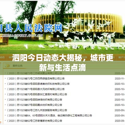 泗陽(yáng)今日動(dòng)態(tài)大揭秘，城市更新與生活點(diǎn)滴