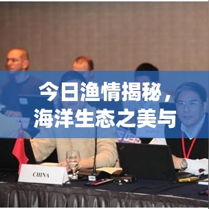 今日漁情揭秘，海洋生態(tài)之美與魅力展現(xiàn)的視頻獨(dú)家呈現(xiàn)