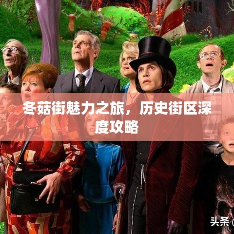 冬菇街魅力之旅，歷史街區(qū)深度攻略