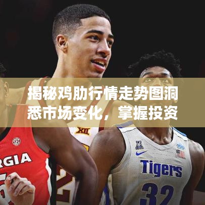 揭秘雞肋行情走勢(shì)圖洞悉市場(chǎng)變化，掌握投資先機(jī)！