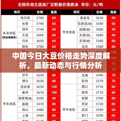中國今日大豆價格走勢深度解析，最新動態(tài)與行情分析