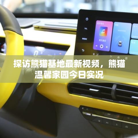探訪熊貓基地最新視頻，熊貓溫馨家園今日實(shí)況