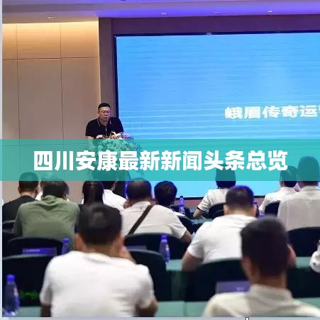 四川安康最新新聞?lì)^條總覽