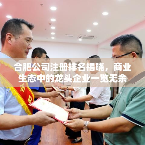 合肥公司注冊(cè)排名揭曉，商業(yè)生態(tài)中的龍頭企業(yè)一覽無余
