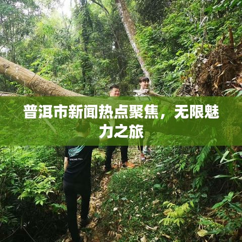 普洱市新聞熱點(diǎn)聚焦，無限魅力之旅