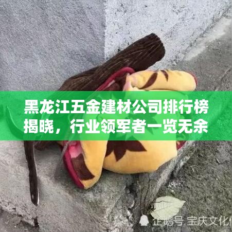 黑龍江五金建材公司排行榜揭曉，行業(yè)領(lǐng)軍者一覽無余