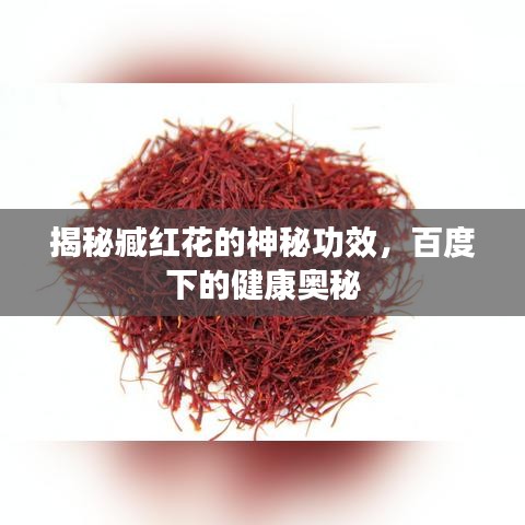 揭秘臧紅花的神秘功效，百度下的健康奧秘