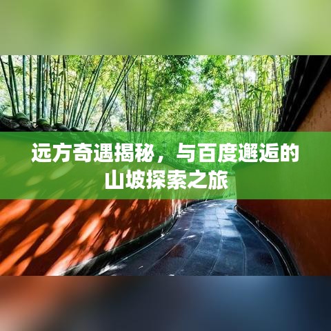 遠(yuǎn)方奇遇揭秘，與百度邂逅的山坡探索之旅
