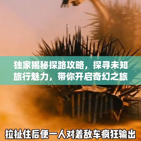 獨(dú)家揭秘探路攻略，探尋未知旅行魅力，帶你開(kāi)啟奇幻之旅！